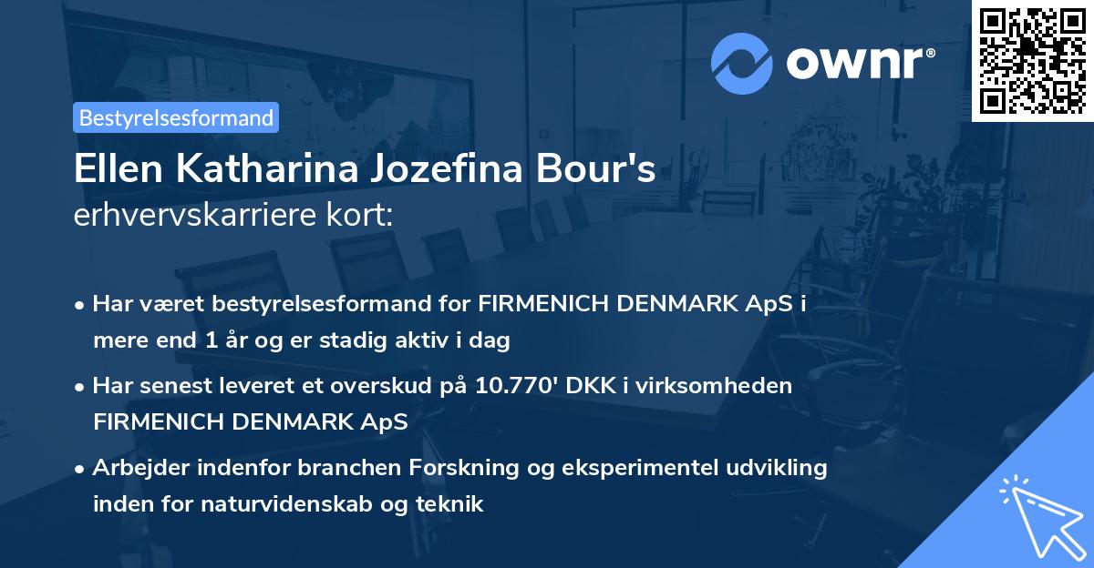 Ellen Katharina Jozefina Bour's erhvervskarriere kort