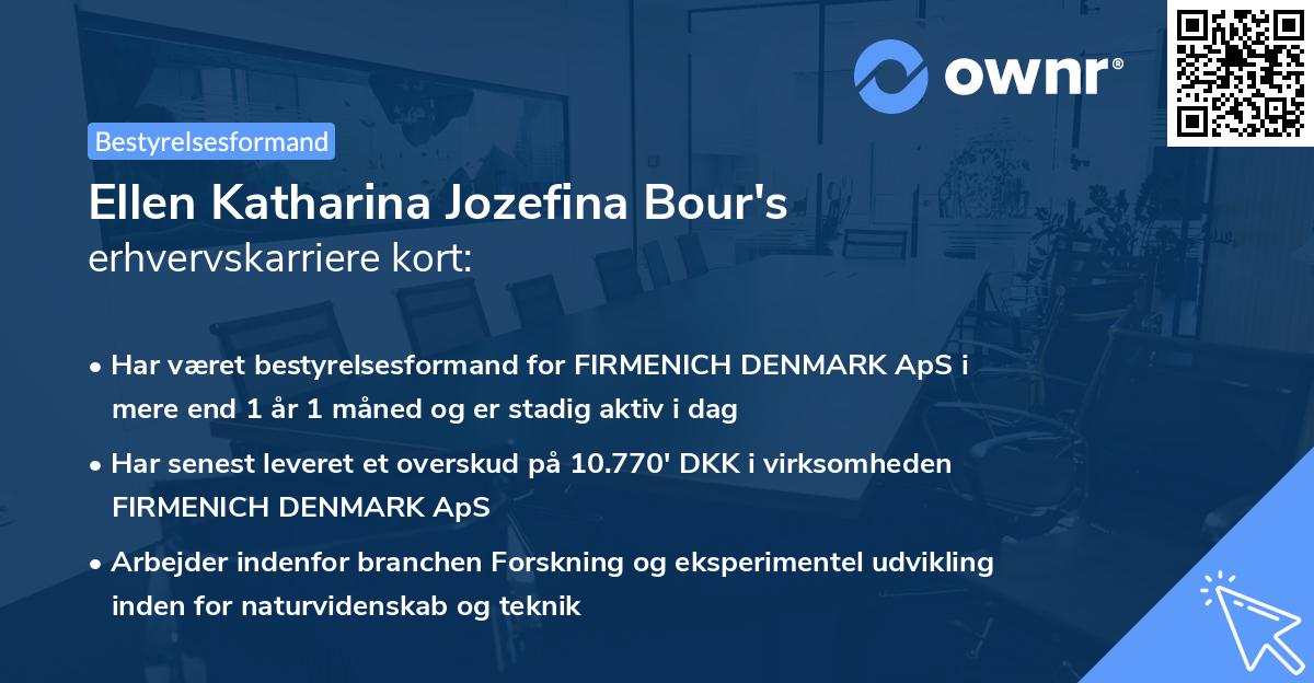 Ellen Katharina Jozefina Bour's erhvervskarriere kort
