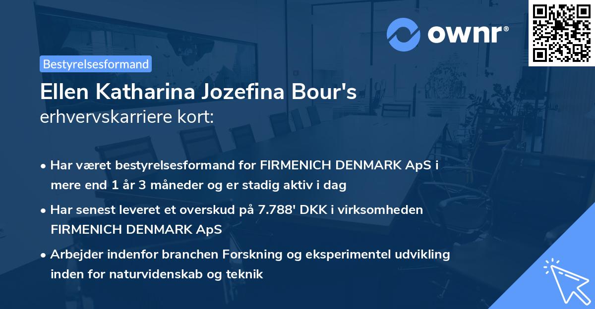 Ellen Katharina Jozefina Bour's erhvervskarriere kort
