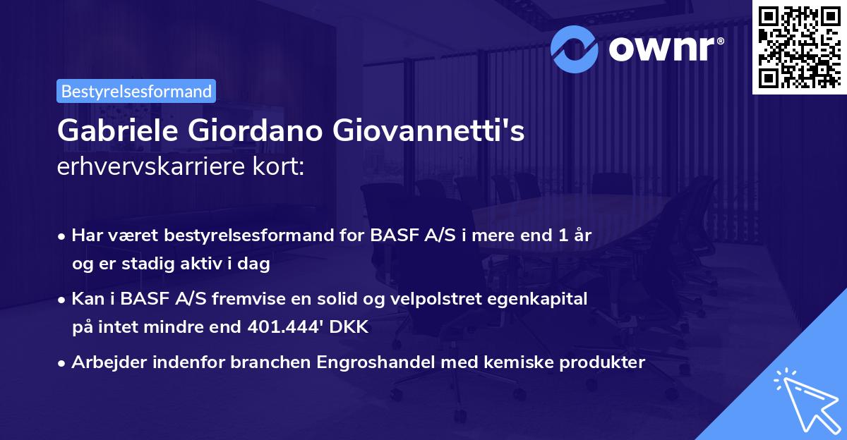Gabriele Giordano Giovannetti's erhvervskarriere kort
