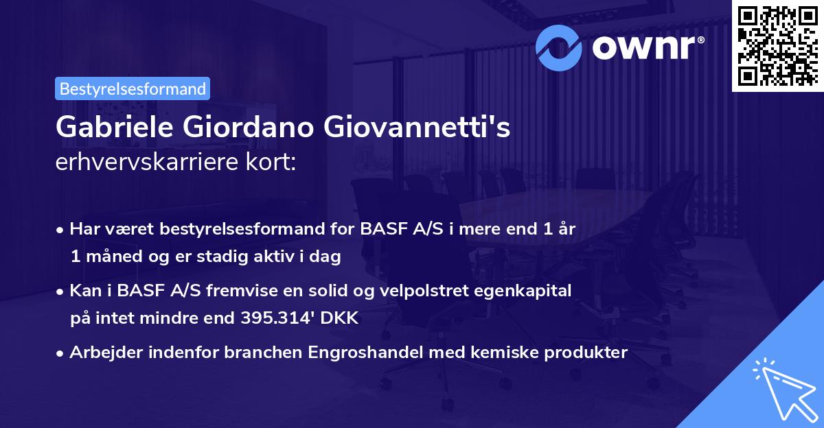 Gabriele Giordano Giovannetti's erhvervskarriere kort