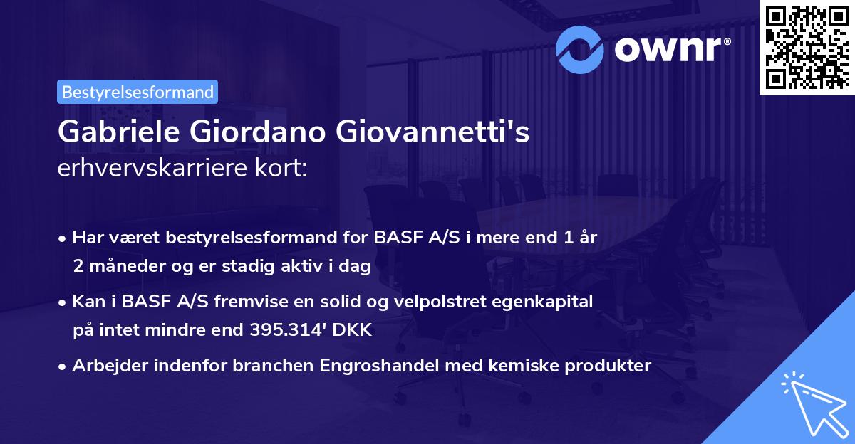 Gabriele Giordano Giovannetti's erhvervskarriere kort