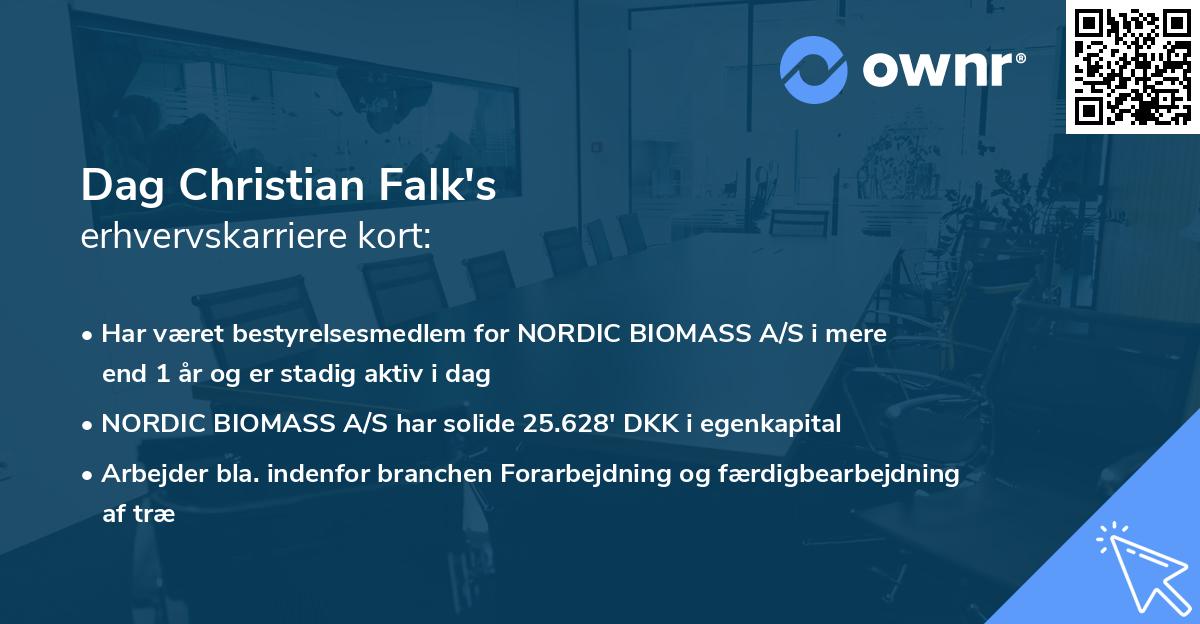 Dag Christian Falk's erhvervskarriere kort