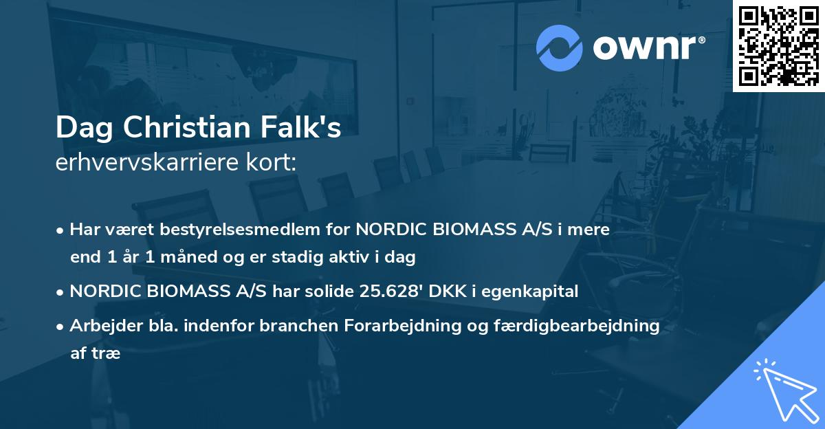 Dag Christian Falk's erhvervskarriere kort