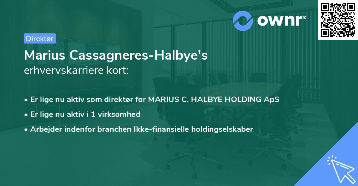 Marius Cassagneres-Halbye's erhvervskarriere kort