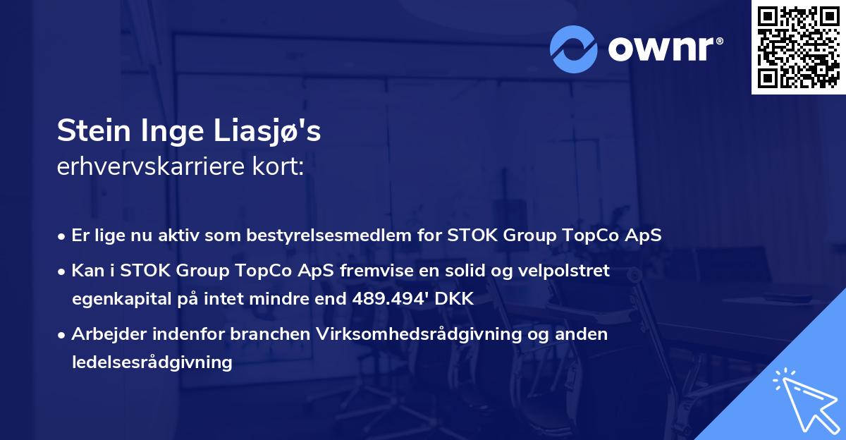 Stein Inge Liasjø's erhvervskarriere kort
