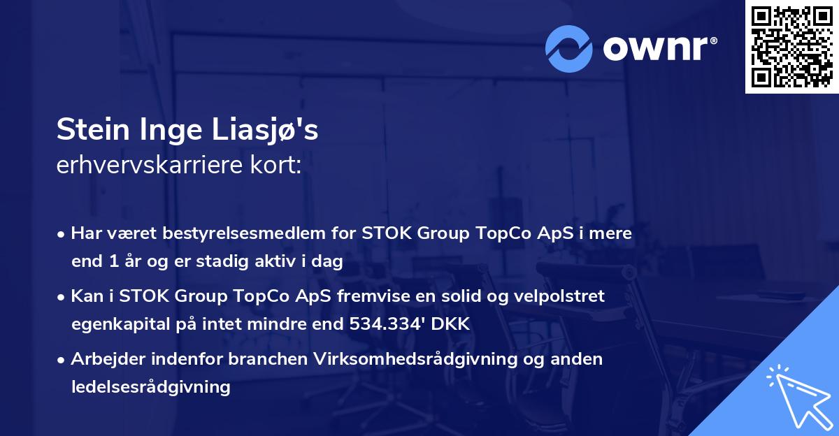 Stein Inge Liasjø's erhvervskarriere kort