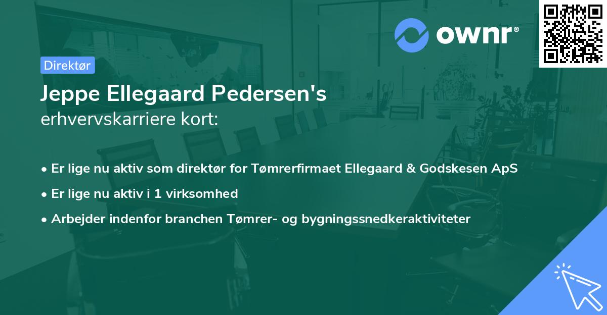 Jeppe Ellegaard Pedersen's erhvervskarriere kort