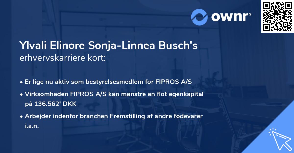 Ylvali Elinore Sonja-Linnea Busch's erhvervskarriere kort