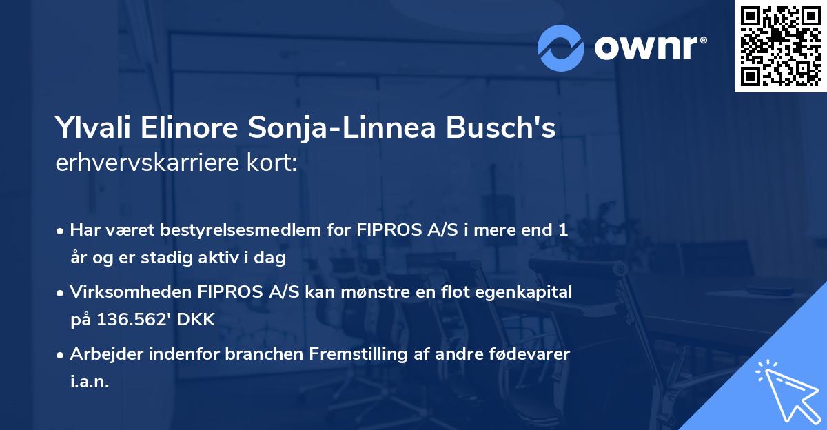 Ylvali Elinore Sonja-Linnea Busch's erhvervskarriere kort