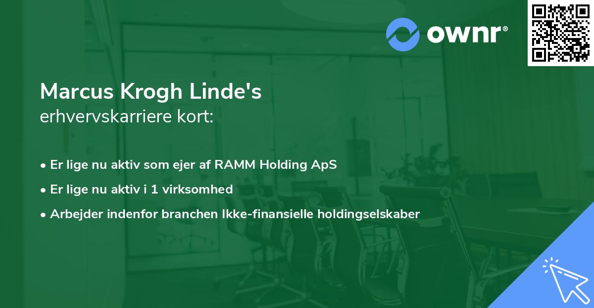 Marcus Krogh Linde's erhvervskarriere kort