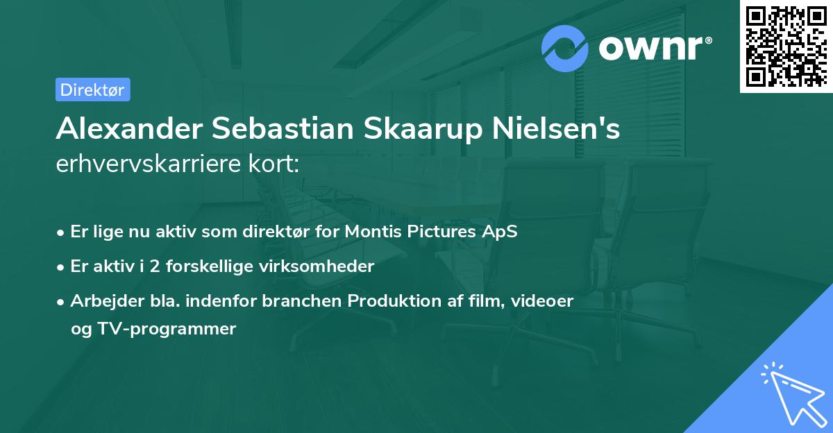 Alexander Sebastian Skaarup Nielsen's erhvervskarriere kort