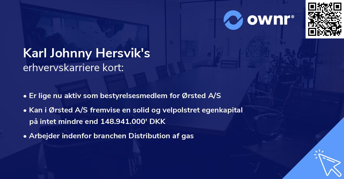 Karl Johnny Hersvik's erhvervskarriere kort