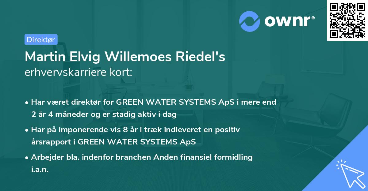 Martin Elvig Willemoes Riedel's erhvervskarriere kort