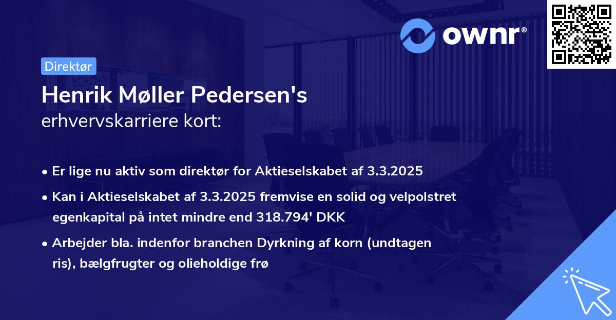 Henrik Møller Pedersen's erhvervskarriere kort