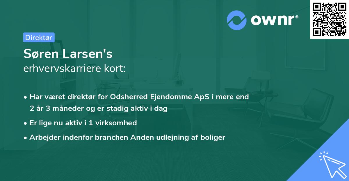 Søren Larsen's erhvervskarriere kort