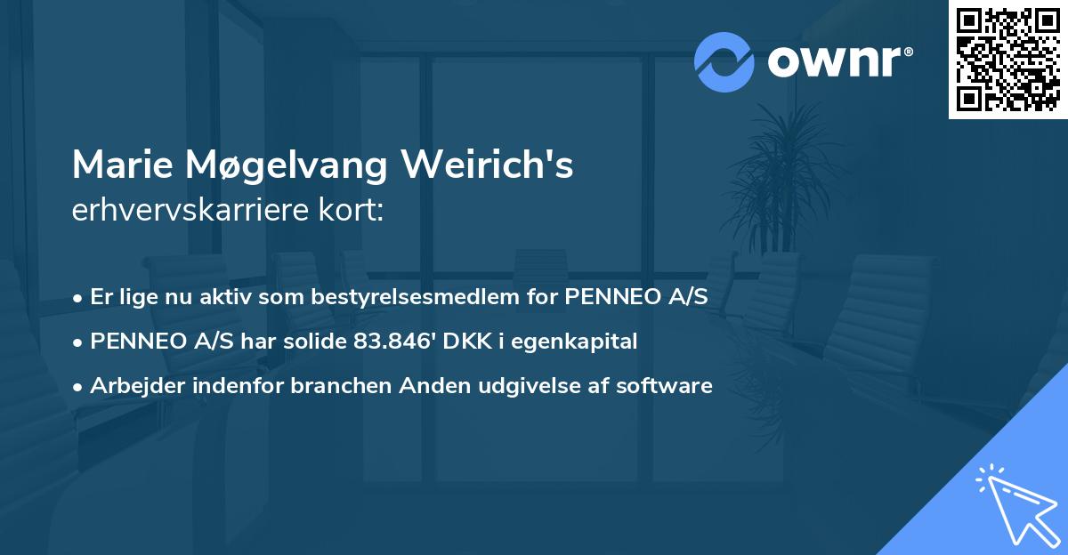 Marie Møgelvang Weirich's erhvervskarriere kort