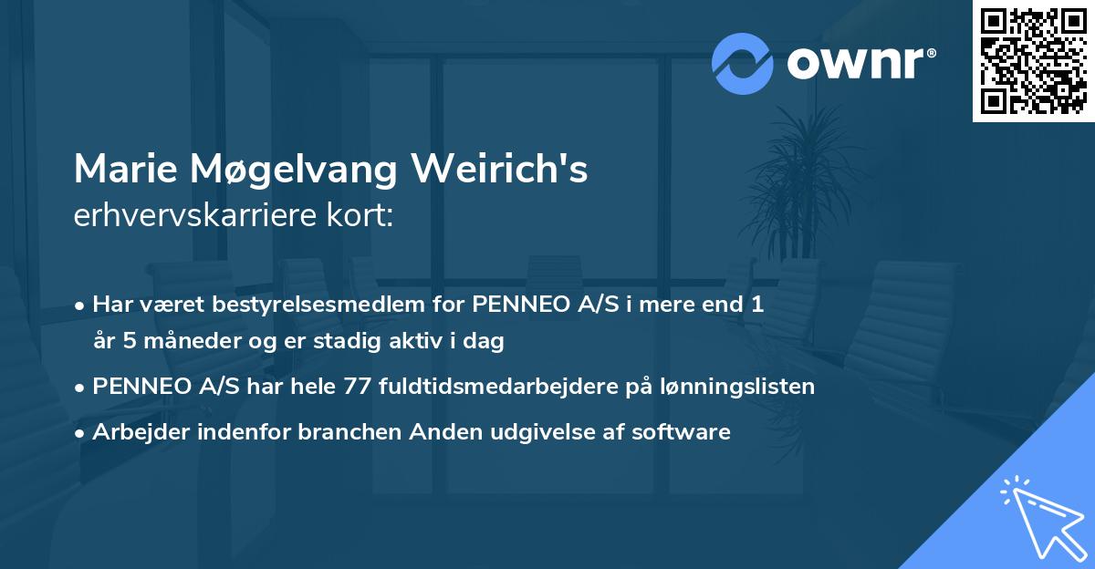 Marie Møgelvang Weirich's erhvervskarriere kort
