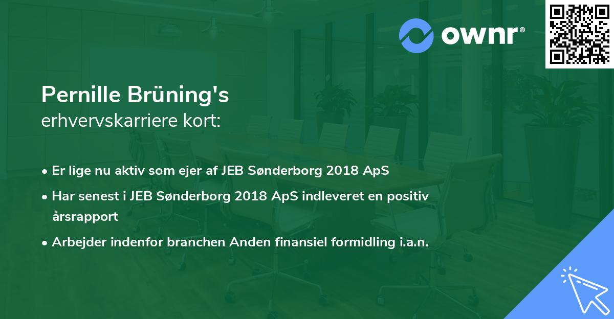 Pernille Brüning's erhvervskarriere kort