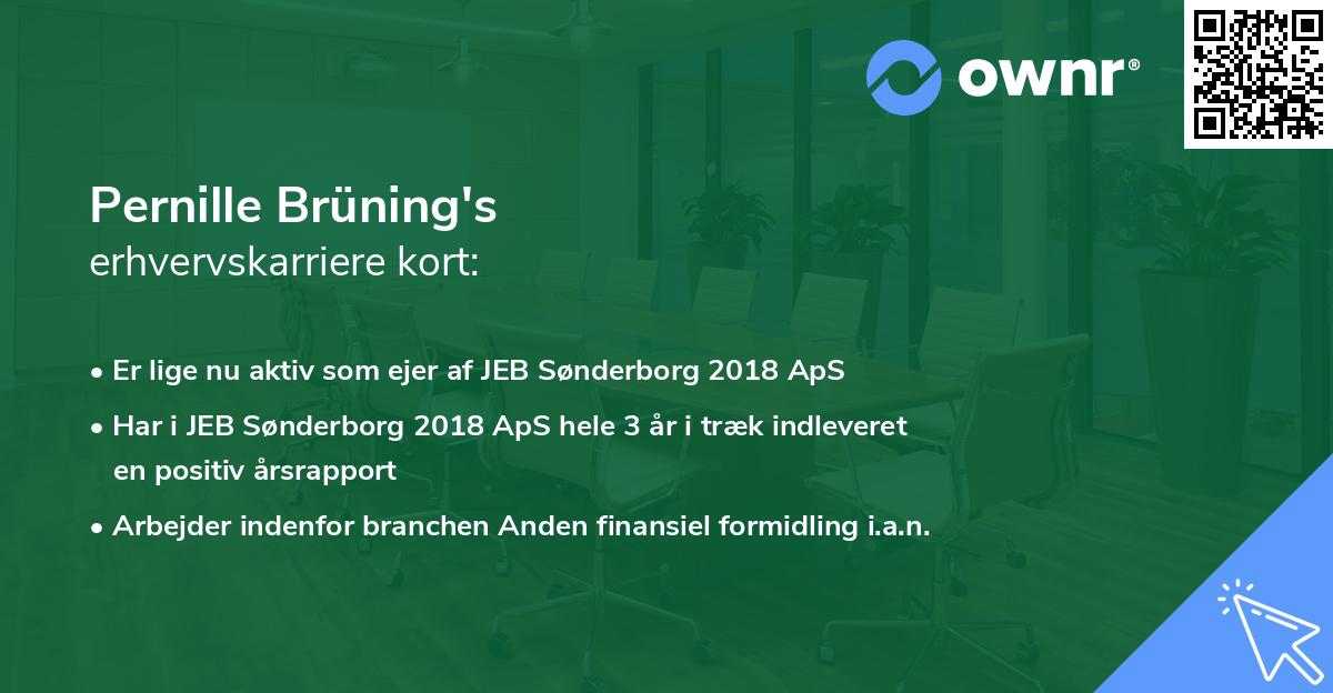Pernille Brüning's erhvervskarriere kort