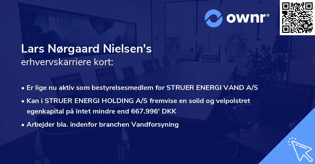 Lars Nørgaard Nielsen's erhvervskarriere kort