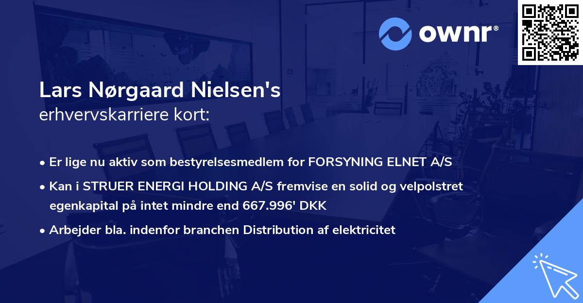 Lars Nørgaard Nielsen's erhvervskarriere kort