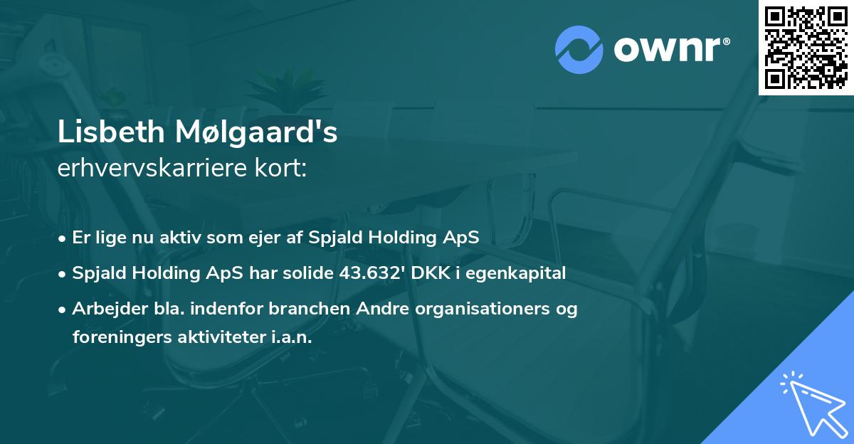 Lisbeth Mølgaard's erhvervskarriere kort