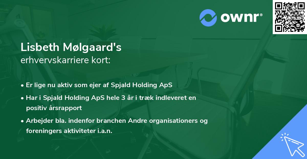 Lisbeth Mølgaard's erhvervskarriere kort