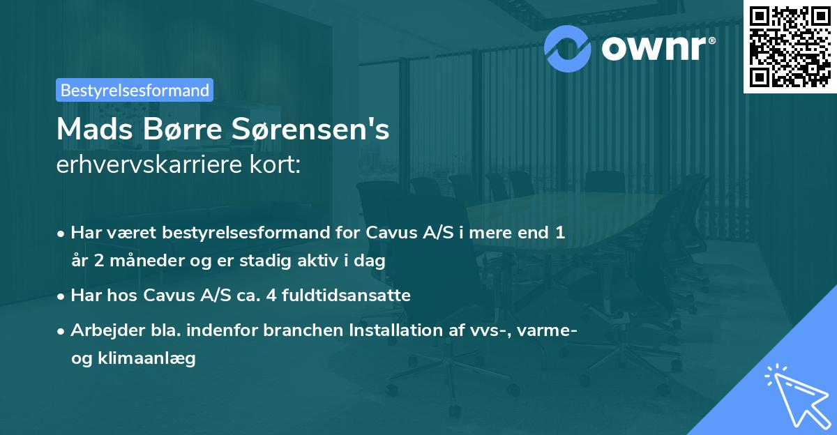 Mads Børre Sørensen's erhvervskarriere kort