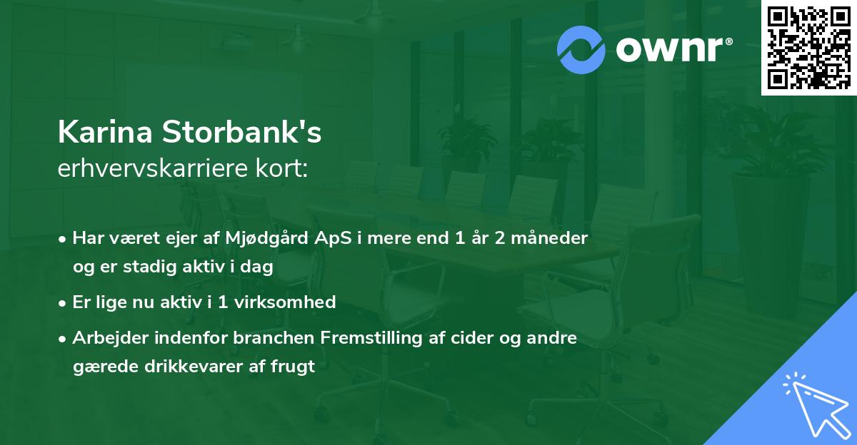 Karina Storbank's erhvervskarriere kort