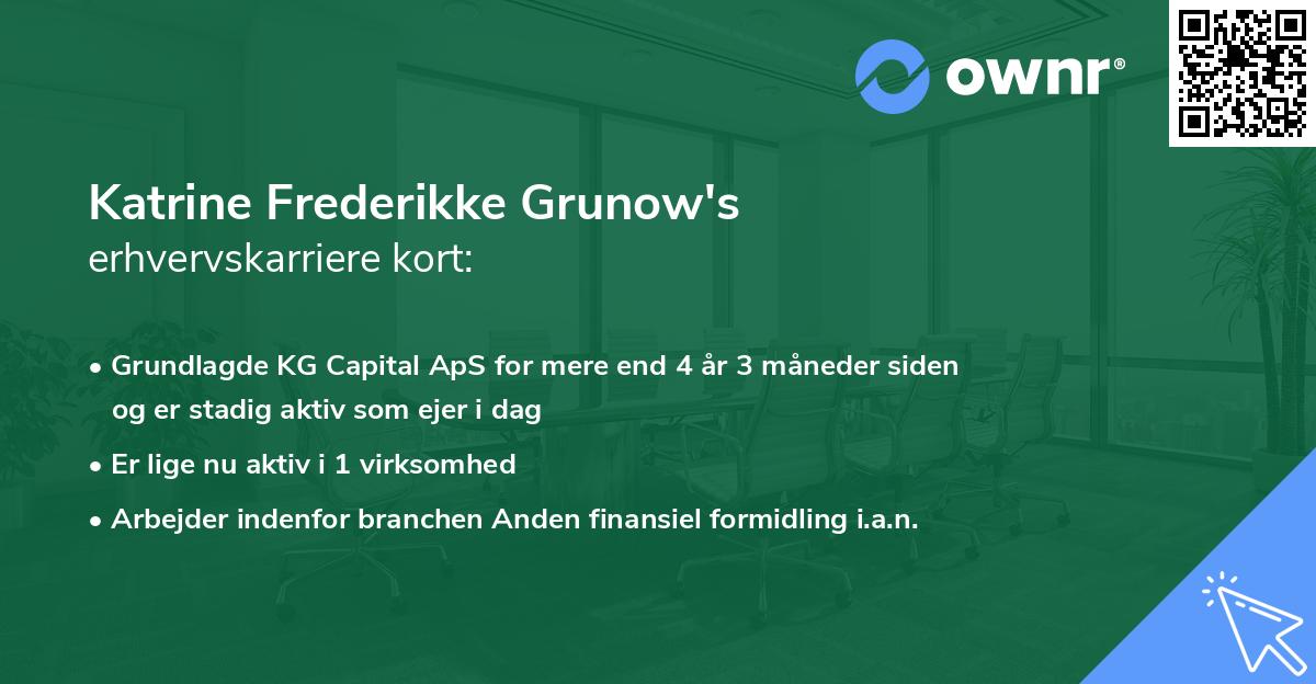 Katrine Frederikke Grunow's erhvervskarriere kort
