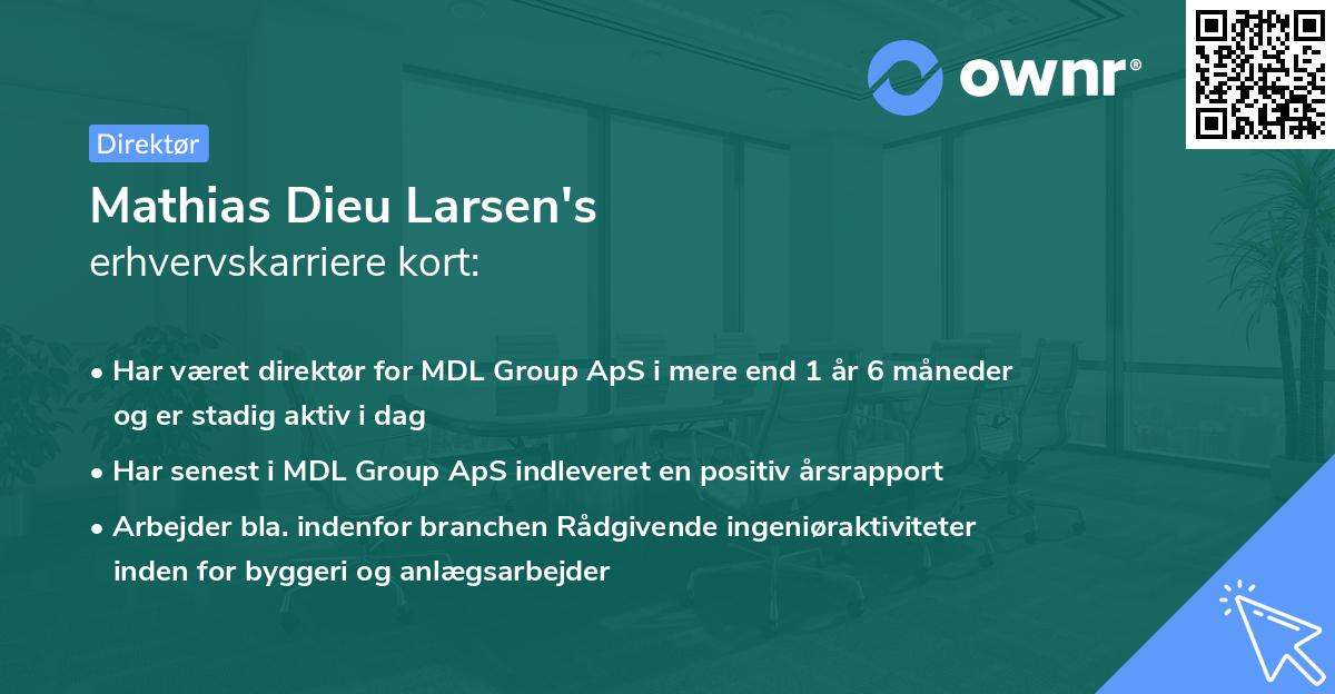 Mathias Dieu Larsen's erhvervskarriere kort