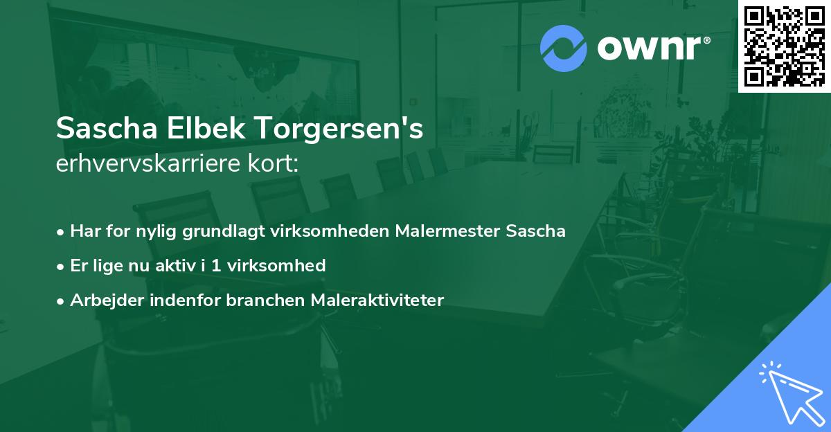 Sascha Elbek Torgersen's erhvervskarriere kort