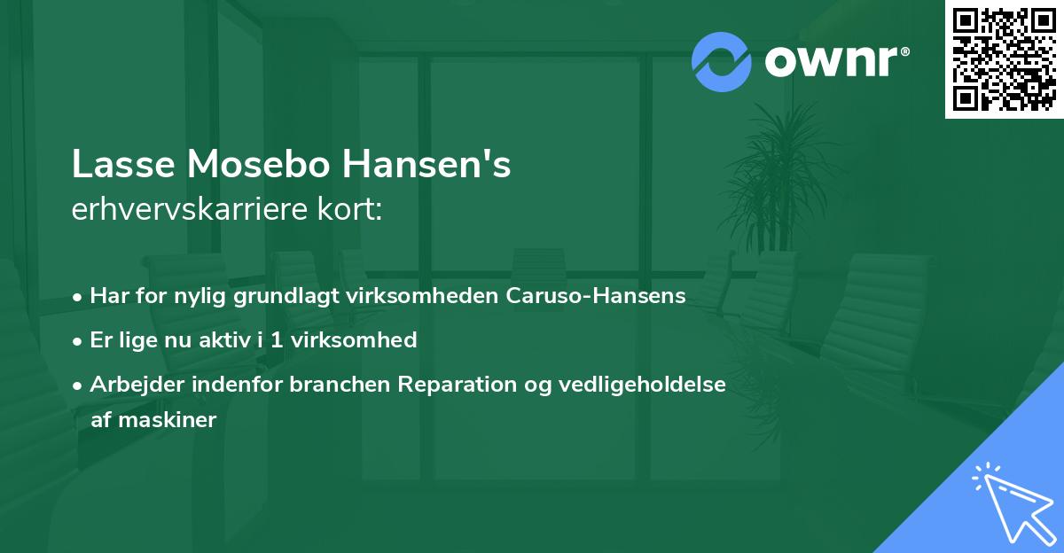Lasse Mosebo Hansen's erhvervskarriere kort