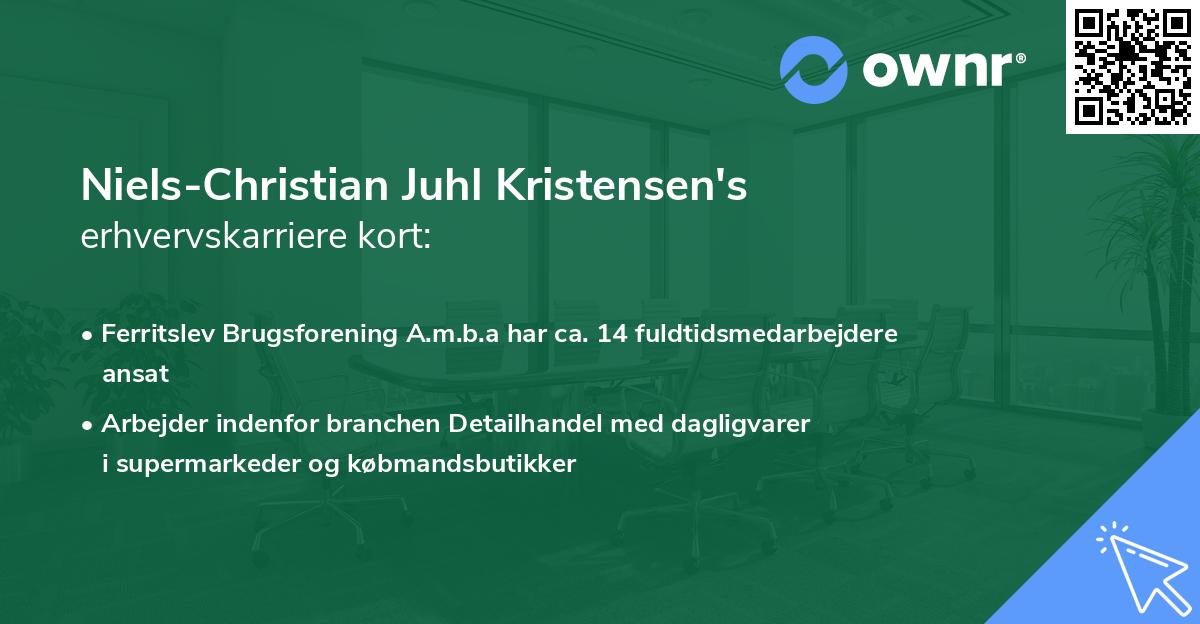 Niels-Christian Juhl Kristensen's erhvervskarriere kort