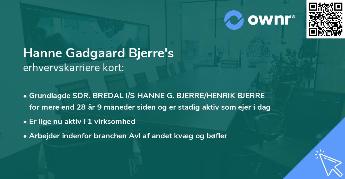 Hanne Gadgaard Bjerre's erhvervskarriere kort