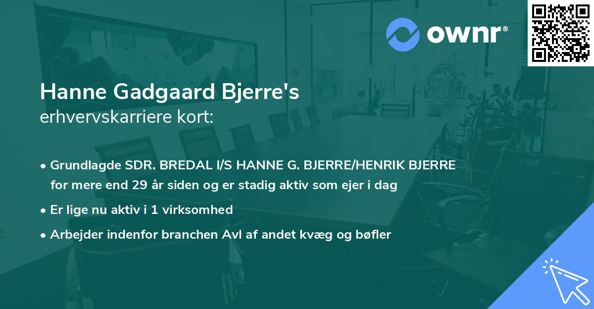 Hanne Gadgaard Bjerre's erhvervskarriere kort
