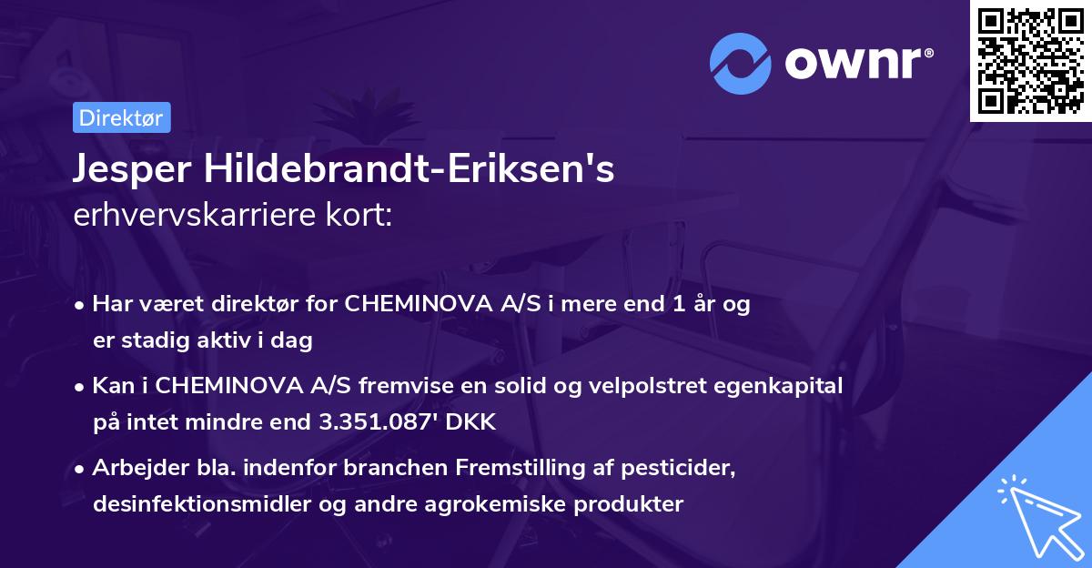 Jesper Hildebrandt-Eriksen's erhvervskarriere kort