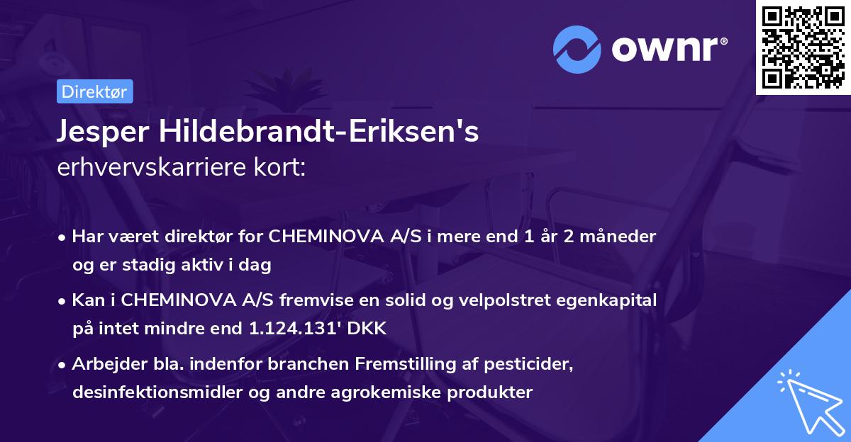Jesper Hildebrandt-Eriksen's erhvervskarriere kort