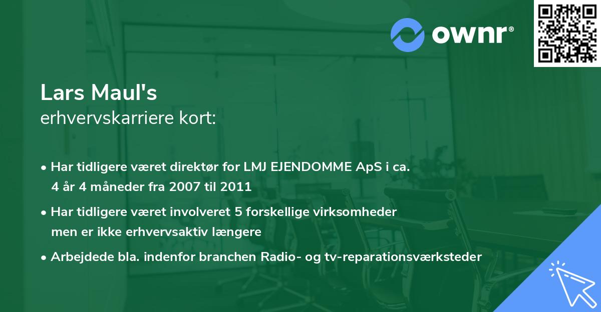 Lars Maul's erhvervskarriere kort