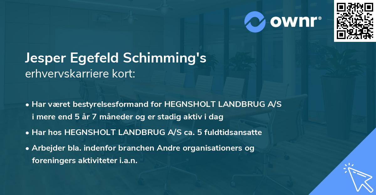 Jesper Egefeld Schimming's erhvervskarriere kort
