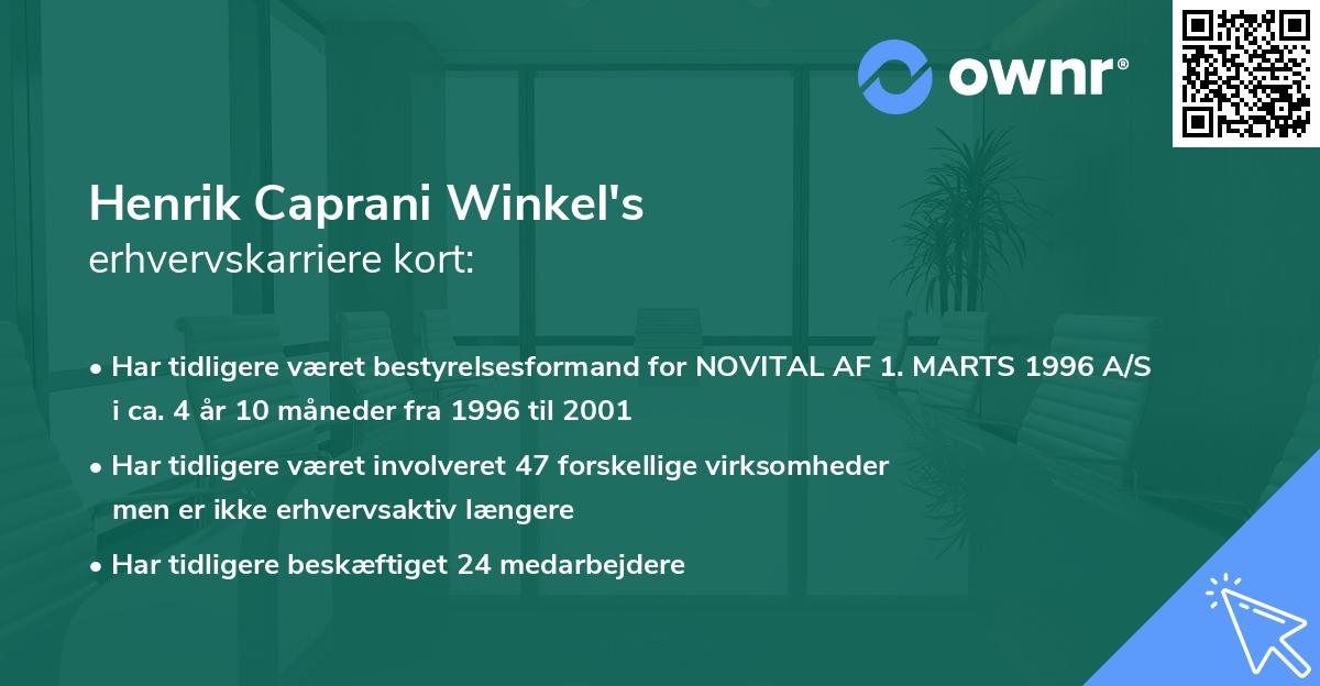 Henrik Caprani Winkel's erhvervskarriere kort