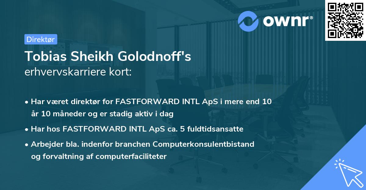 Tobias Sheikh Golodnoff's erhvervskarriere kort