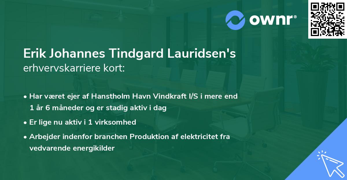 Erik Johannes Tindgard Lauridsen's erhvervskarriere kort