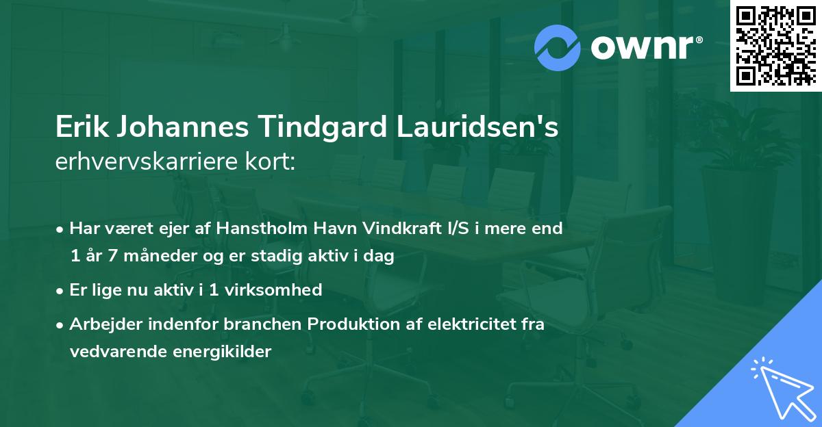 Erik Johannes Tindgard Lauridsen's erhvervskarriere kort