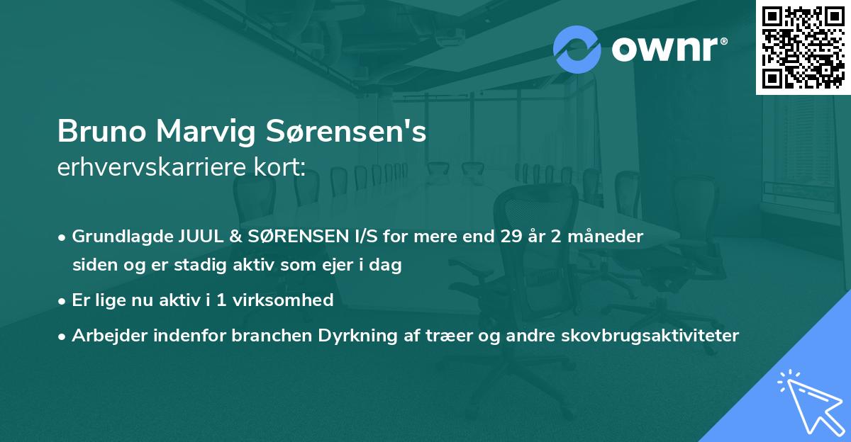 Bruno Marvig Sørensen's erhvervskarriere kort