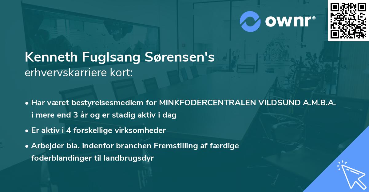 Kenneth Fuglsang Sørensen's erhvervskarriere kort