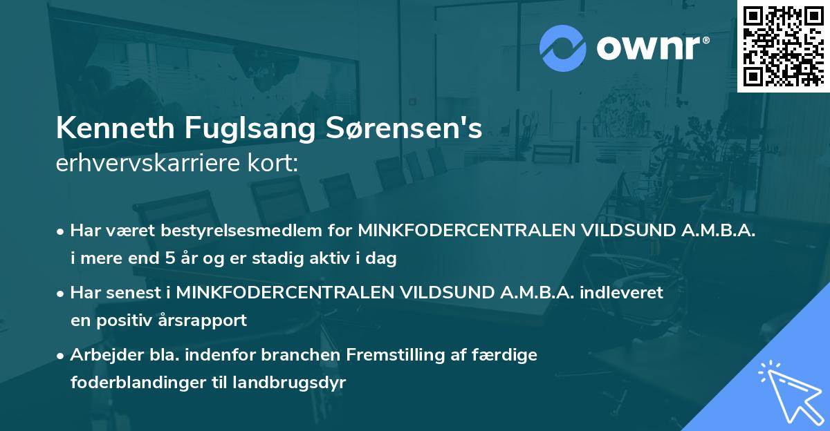 Kenneth Fuglsang Sørensen's erhvervskarriere kort