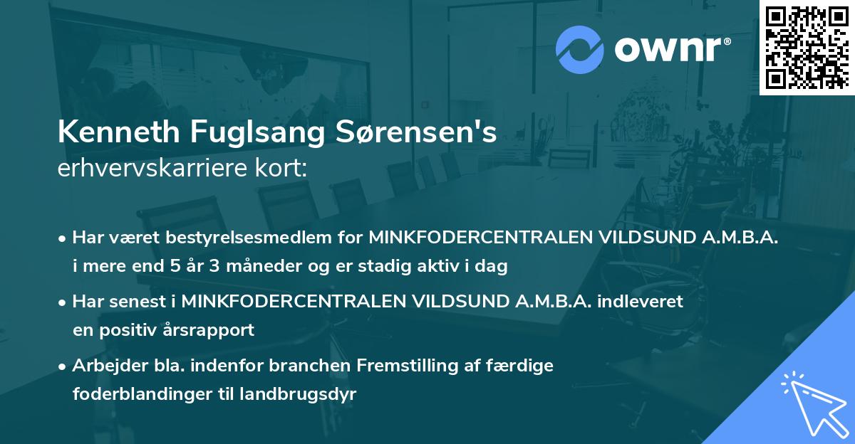 Kenneth Fuglsang Sørensen's erhvervskarriere kort