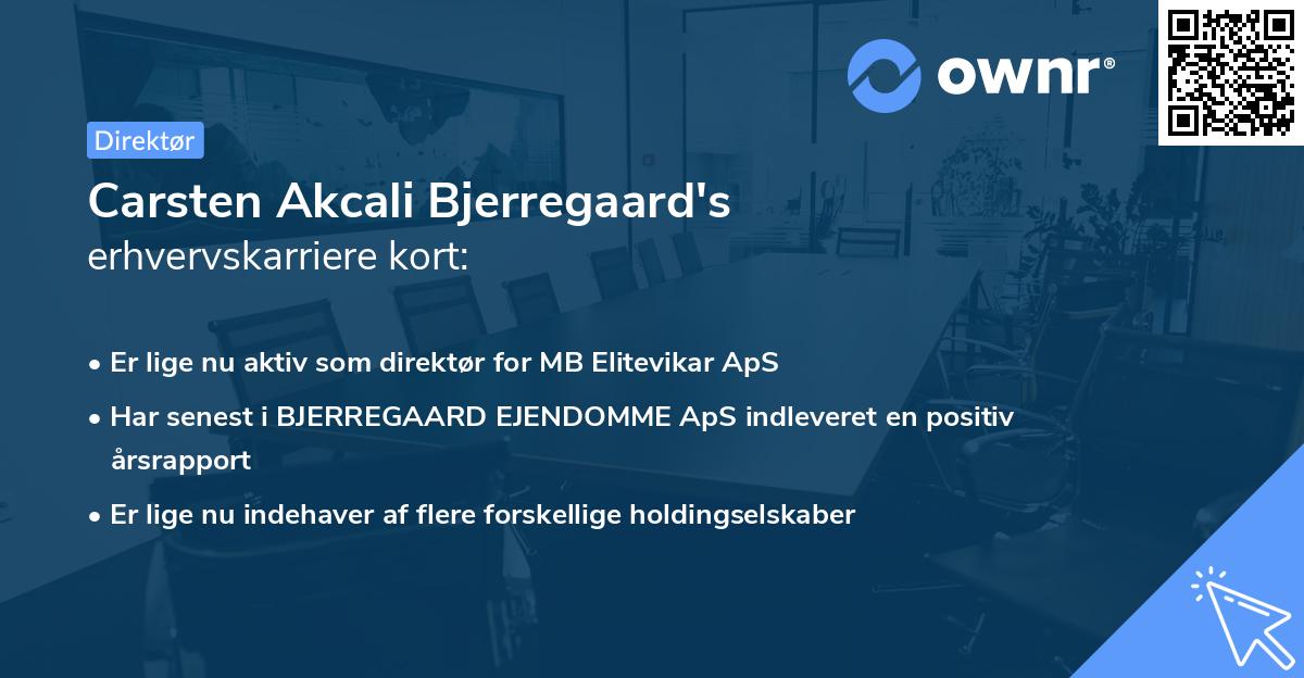 Carsten Akcali Bjerregaard's erhvervskarriere kort